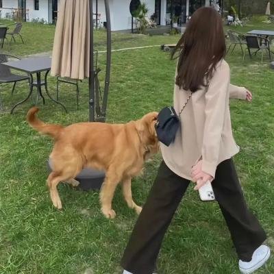 回忆中的加沙
